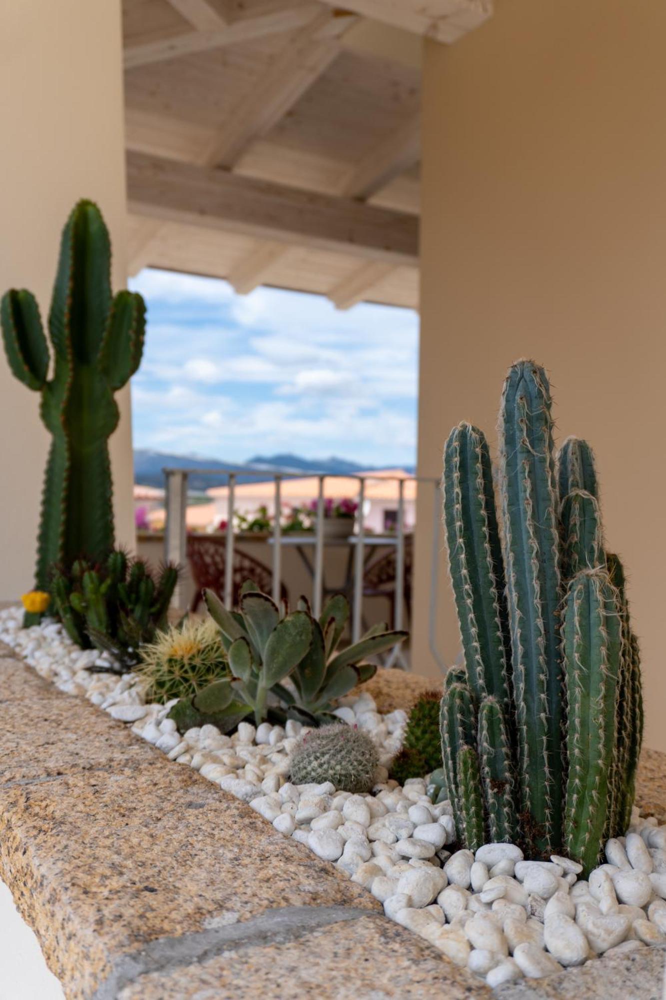 Dicciosu Guest House Budoni Exterior foto